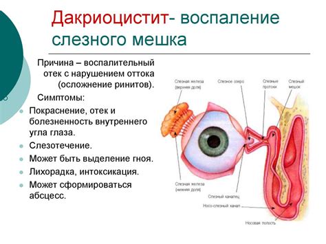 Слезный аппарат