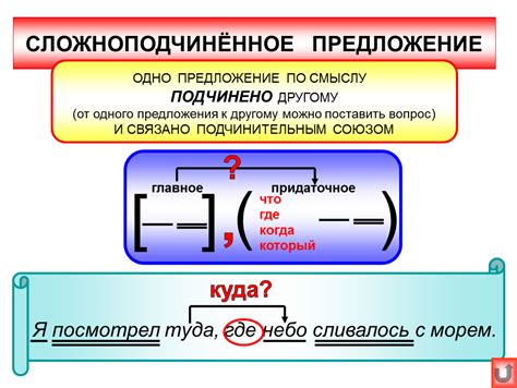 Сложноподчиненное предложение: определение и особенности