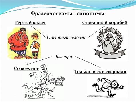 Смысловая нагрузка фразеологизмов в речи носителя русского языка