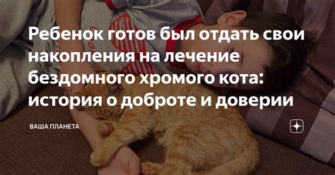 Смысл снов о держании на руках бездомного кота