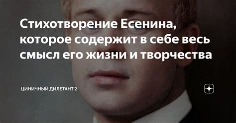 Смысл стихотворения Есенина, описанный в его письме