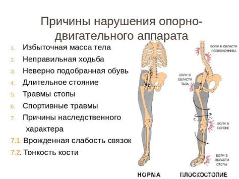 Снижение боли и спазмов при болезнях опорно-двигательного аппарата