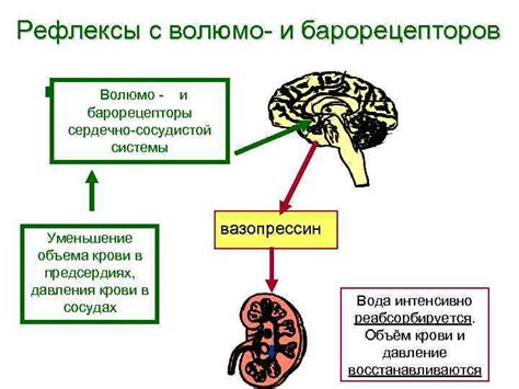 Снижение осмотического давления