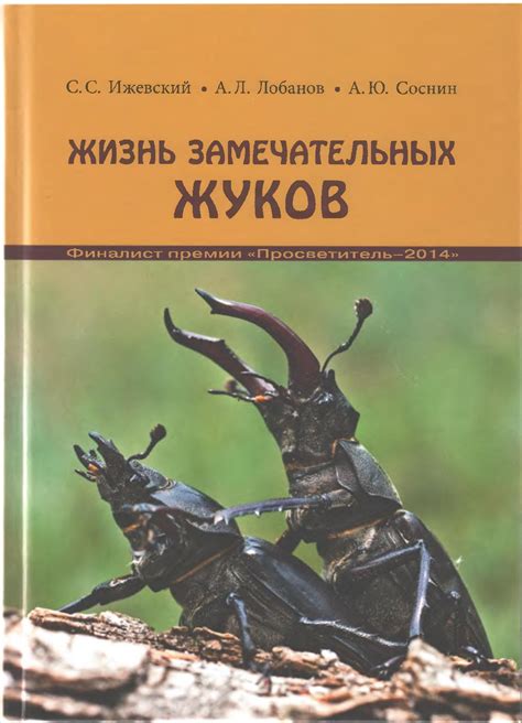 Сны о тушении насекомых: перспективы и интерпретация