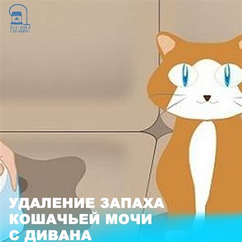 Советы по удалению запаха мочи с дивана