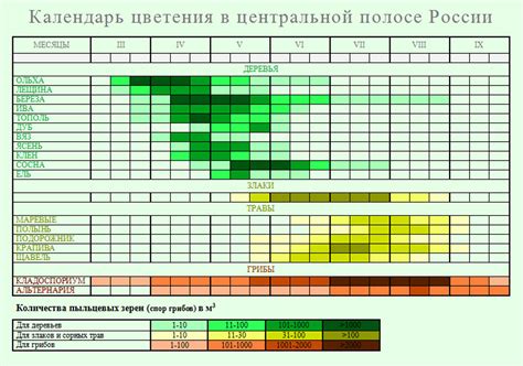 Советы по удобрению и орошению растений в средней полосе России