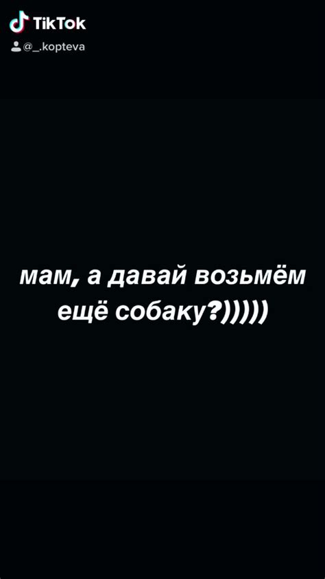 Советы по уходу за железами собаки