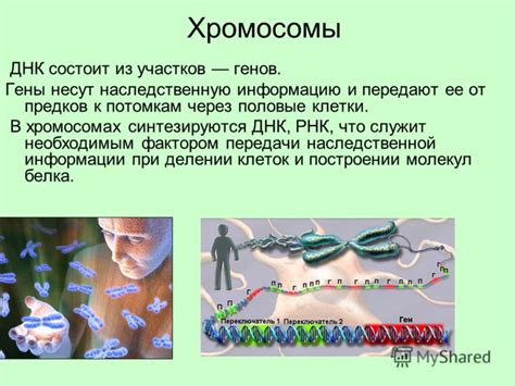 Современные методы исследования генов и наследственной информации