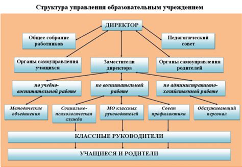 Современные тенденции в назначении органов