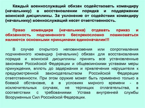 Содействие в поддержании порядка и дисциплины