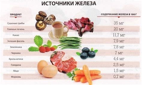 Содержание железа в мясе для поддержания здоровья