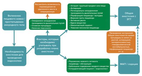 Создание пищевого комка в энтодерме