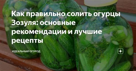 Солить огурцы во сне: подсознание и символика