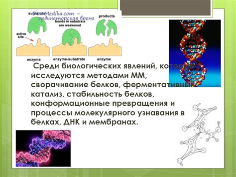 Соль и стабильность белков