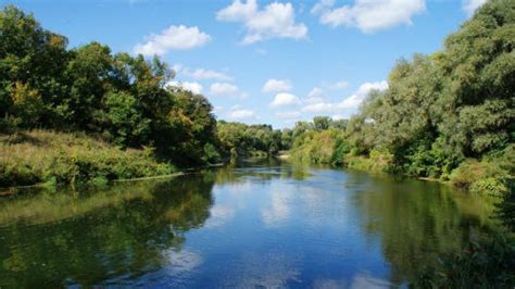 Сон: много воды в реке