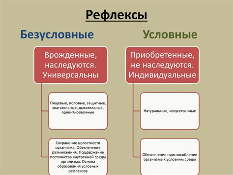 Сон и его роль в организме человека