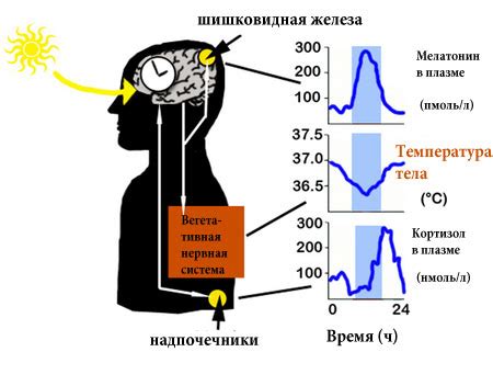 Сон и настроение: как они связаны?