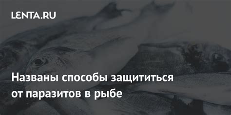 Сон о плавающей рыбе: неподконтрольные ситуации в жизни женщины