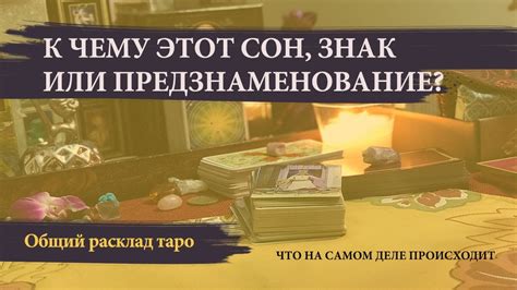 Сон о пойманном воре: знак предупреждения или предзнаменование?