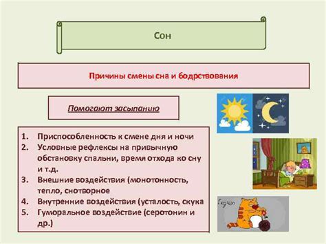 Сон о смене прически и эмоциональное состояние сновидца