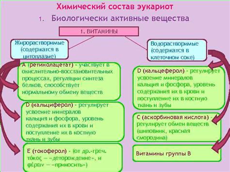 Состав и активные вещества