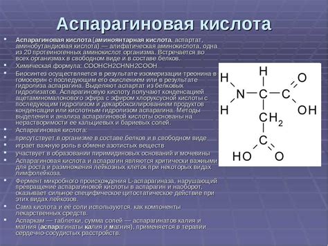 Состав и свойства аспарагиновой кислоты