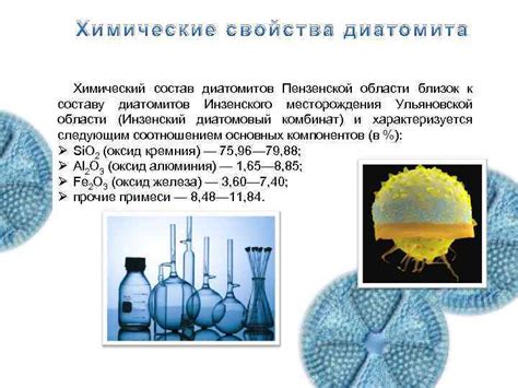 Состав и свойства диатомита