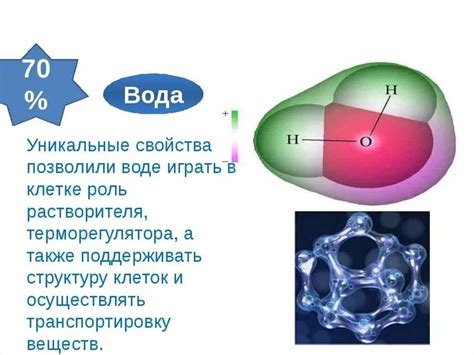 Состав и структура основного вещества