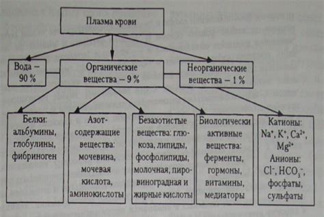 Состав плазмы: белки, электролиты и другие элементы