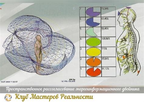 Состав физического тела