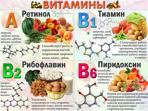 Сохранение полезных веществ в продуктах