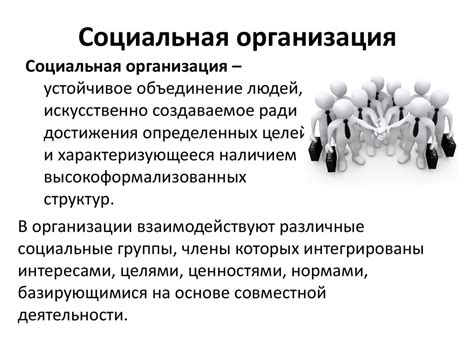 Социальная значимость организации: вклад в общество