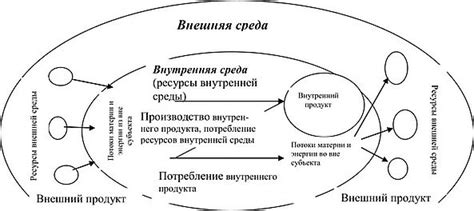 Социальные факторы формирования "Я" и его взаимодействие с окружающей средой