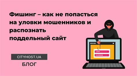 Спам и фишинг - как не стать жертвой интернет-мошенников