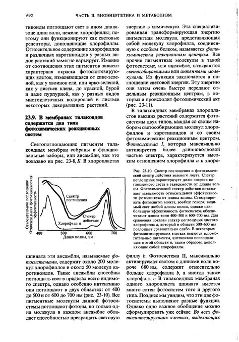 Спектр действия и эффективность