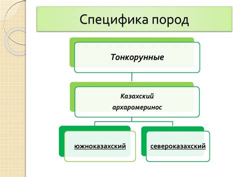 Специфика пород и характеров