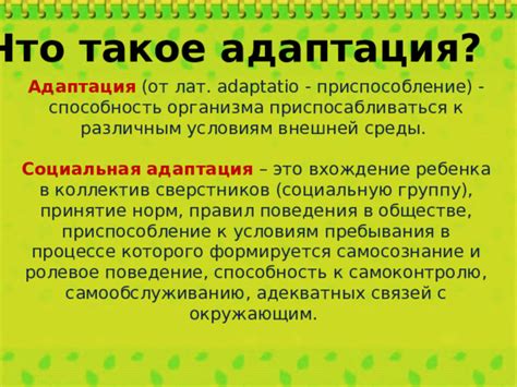 Способность к адаптации и принятие изменений у взрослых