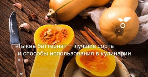 Способы использования урбеча в кулинарии