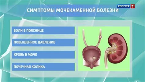 Способы лечения оксалатов в кале у ребенка