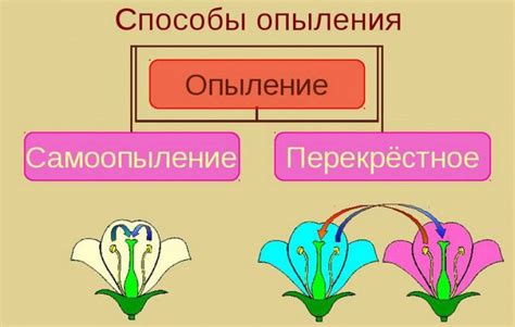 Способы опыления: