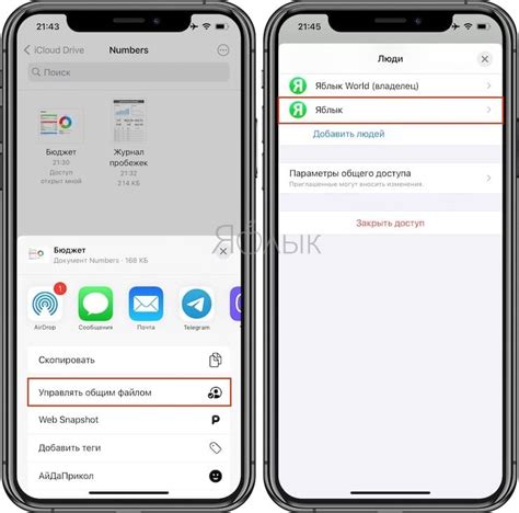 Способы открыть и редактировать ААЕ файлы на iPhone