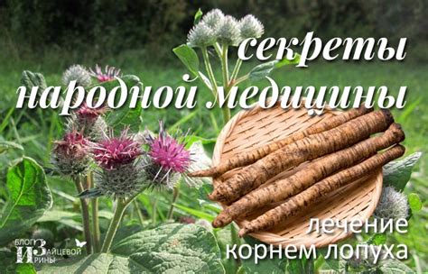 Способы приготовления средств с корнем лопуха