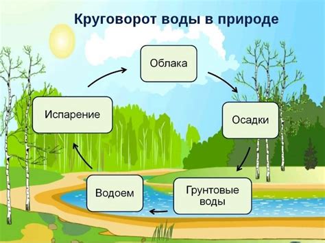 Способы сохранения круговорота воды для будущих поколений