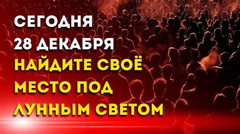 Спящий под лунным светом: анализ психологического состояния