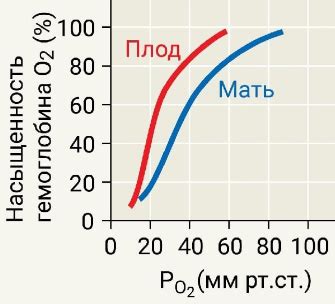 Сравнение пигментации гемоглобина