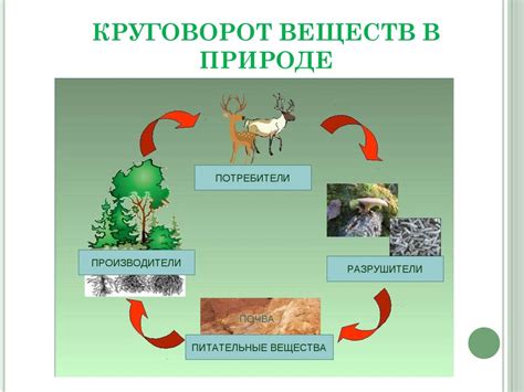 Статус видового разнообразия и подвиды в природных сообществах