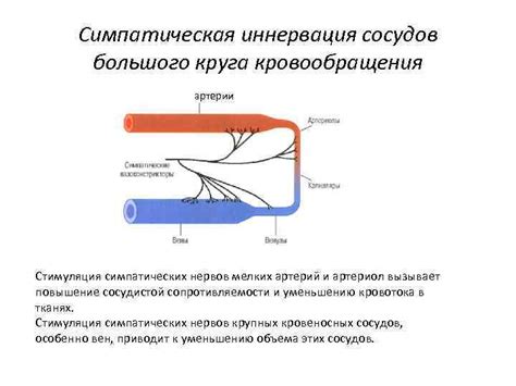 Стимуляция кровообращения