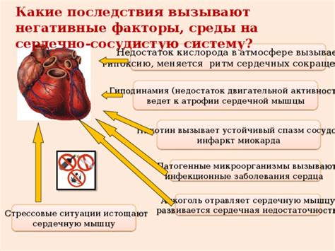 Стрессовые ситуации и недостаток кислорода