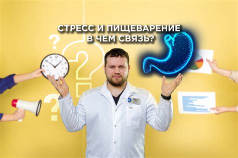 Стресс и пищеварение: связь и последствия