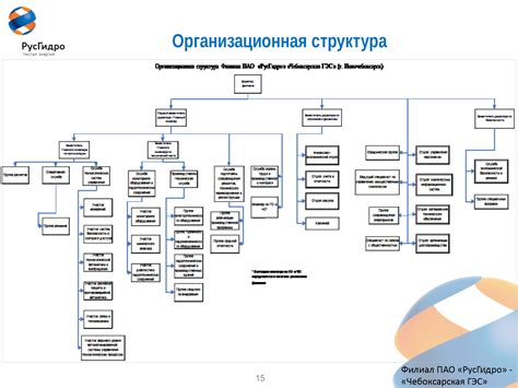 Структура Ростелеком АО